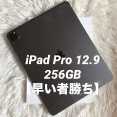【28日販売終了】iPad Pro 12.9 第5世代 256GB 【すぐ発送】