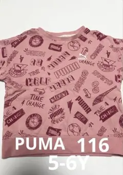 Item thumbnail for item f7c77a78-7bba-4de4-8c4d-a503ce81ea65