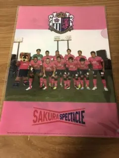 セレッソ大阪  クリアファイル