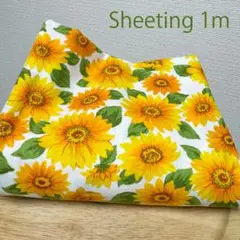 期間限定【特価】1m★綿シーチング生地★布ひまわり花柄ヒマワリ植物★イエロー夏柄