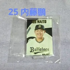 オリックス 内藤鵬 ガチャ 選手ver.