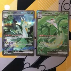 ポケモンカード ジャローダex SAR SR