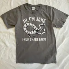 USA古着 PORT & COMPANY スネークTシャツ　グレー　S