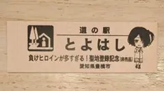 マケイン 小鞠知花 道の駅 とよはし 記念切符 新品 非売品