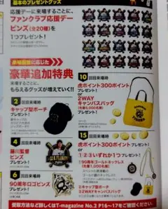 阪神タイガース 2025ファンクラブ応援デー特典グッズセット