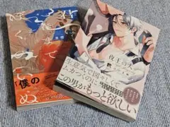 *9/30までお値下げ*商業BL2冊セット