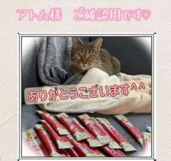アトム様　ご確認用です♡