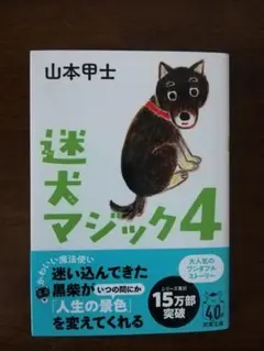 【帯付き】山本甲士 文庫本セット 10冊 2025年最新】山本甲士／著の人気アイテム - メルカリ