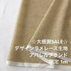 2FL/5630◆1m 感謝祭/限定/ポリエステルデザインラメレース生地