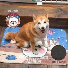 激カワ☆ペットマット 洗える滑り止め猫用犬用マット カーペット 玄関マット