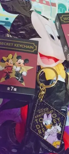 ディズニーリゾート限定　チャーム