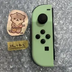 Nintendo Switch joy-con(ジョイコン)あつまれどうぶつの森