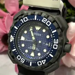 Item thumbnail for item 14543663-9218-4f51-9f79-1729a26c0109