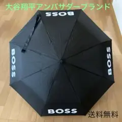 Item thumbnail for item 39cb7777-48f1-4582-bffd-05941b1af062