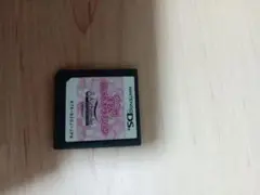 モデル　おしゃれオーディション DS
