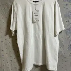 緊急値下げ　ZARA 半袖Tシャツ　M新品
