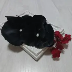 Item thumbnail for item fc70f1aa-3f04-4c4f-b852-c67b5b19640b