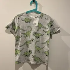 H&M 恐竜　Tシャツ　110 115