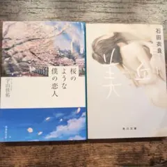 桜のような僕の恋人 & 美丘 2冊セット