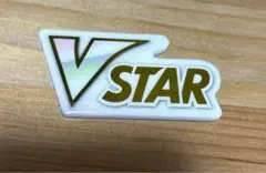 ポケモンカード　VSTAR マーカー　アクリル製　1個