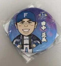 【匿名配送】日本ハムファイターズ 超夏祭り.ver缶バッジ／田中正義
