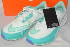 Item thumbnail for item 09c0c51b-fbea-4168-a518-f850e2417af6
