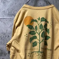 The Life of Plants 植物 太陽 バックプリント Tシャツ