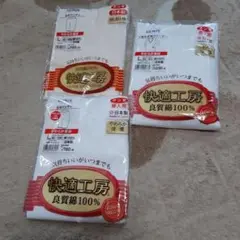 グンゼ 5分パンティ2枚と7分袖スリーマー1枚