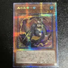 遊戯王 - 遊戯王　蟲の忍者ー蜜　いくさの忍者ー冥禪　プリシクセット　極美品　ダークウィング 遊戯王 - 遊戯王 蟲の忍者ー蜜 いくさの忍者ー冥禪 プリシク