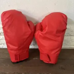 お遊びようグローブ