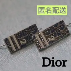 DIOR ピアス トロッター ディオール