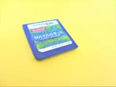 DS サバイバルキッズ ロストインブルー2 ～LOST in BLUE2～