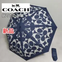 Item thumbnail for item 055a1e3d-0879-4118-97a8-219b71d4d02c