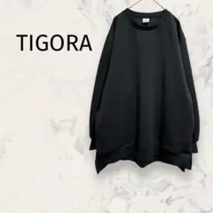 ティゴラ TIGORA クルーネックトレーナー ユニセックス 無地 アメカジ