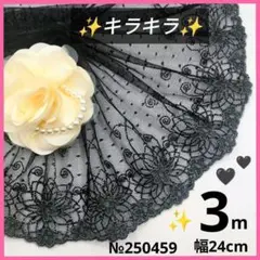 №250459　チュールレース