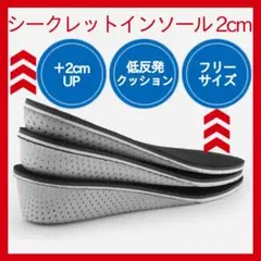 2cm UP シークレットインソール 中敷き 身長アップ 　318