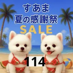 ✨夏の感謝祭セール✨パネル【Ｎｏ．114】