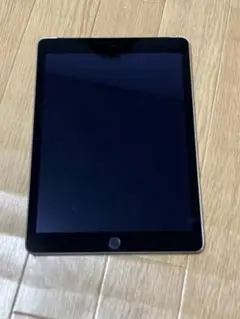 Apple iPad Air 2 16GB シルバー　カメラ使用不可