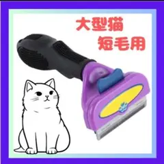 Item thumbnail for item 715e1228-06ed-4125-a792-1bffbf29779e
