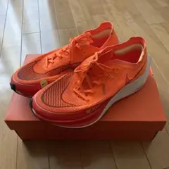 Item thumbnail for item f777fb13-dc0f-4066-8e73-899acb45eb42