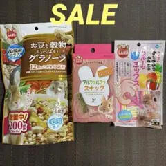 Item thumbnail for item 175fdaa7-9ac2-4447-b85e-d439ad0aaa14