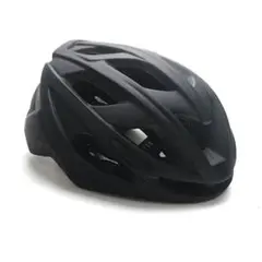Item thumbnail for item c6faacd8-d101-4335-9a3f-079f2fc288f1