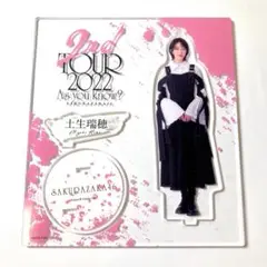 櫻坂46 土生瑞穂 アクリルスタンド