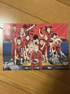 ハイキュー 音駒高校 ゴミ捨て場の決戦限定