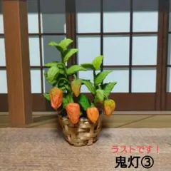 ミニチュア　鬼灯③