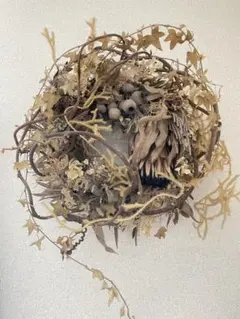 Item thumbnail for item 15554621-1c20-46f4-9226-6003f2fd78af