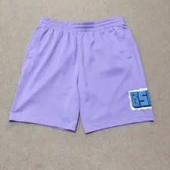 NIKE SB DF サンデイ シーズナル ショート