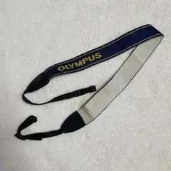 Item thumbnail for item 6661271e-66c7-4b53-b934-1868ad219dcf