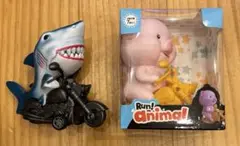 run animal ブタ サメ
