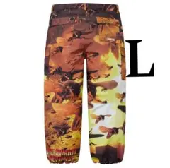 Item thumbnail for item 7b561d23-07a0-4e4e-98a3-a0dc1c06ac8b